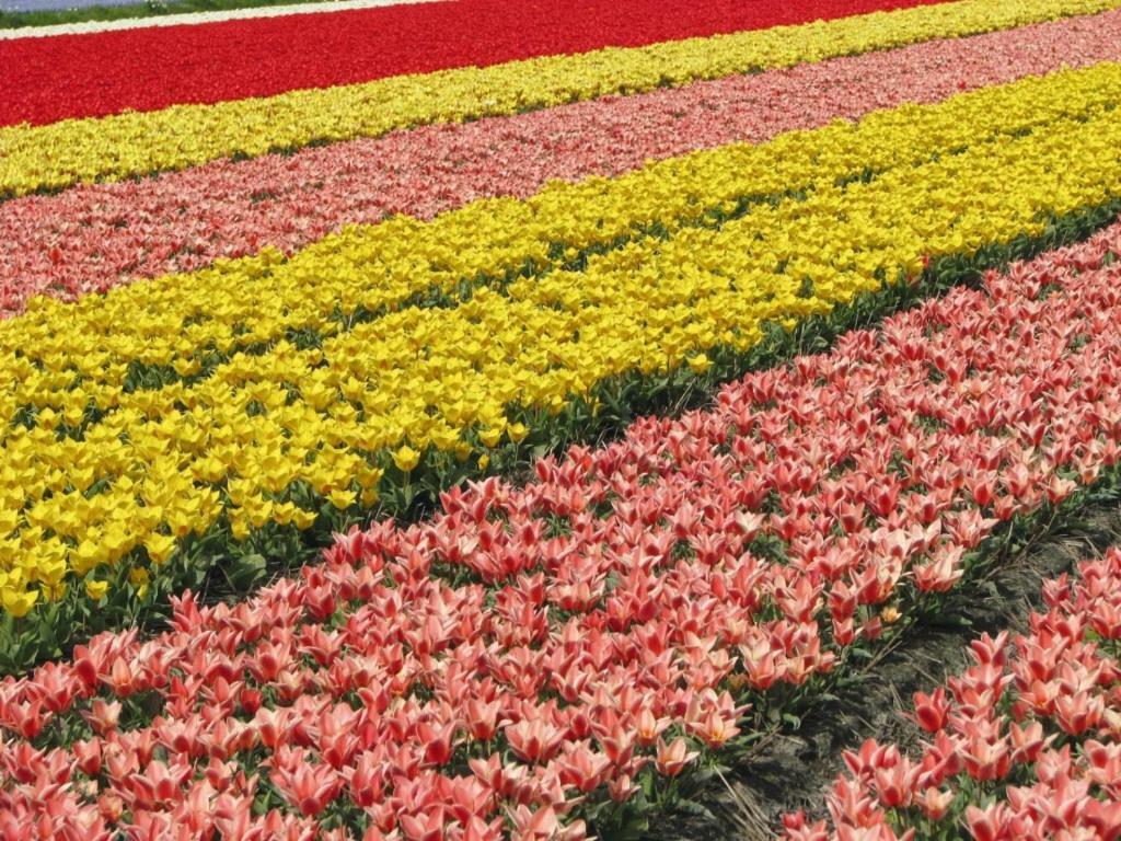 Landal Dunimar Hotel Noordwijkerhout Luaran gambar